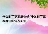什么叫丁克家庭介紹(什么叫丁克家庭詳細(xì)情況如何)