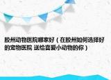 膠州動(dòng)物醫(yī)院哪家好（在膠州如何選擇好的寵物醫(yī)院 送給喜愛小動(dòng)物的你）