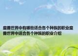魔獸世界中有哪些適合各個種族的職業(yè)魔獸世界中適合各個種族的職業(yè)介紹