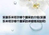 安賽樂米塔爾哪個國家的介紹(安賽樂米塔爾哪個國家的詳細(xì)情況如何)