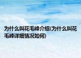 為什么叫花毛峰介紹(為什么叫花毛峰詳細情況如何)