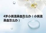 4歲小孩流鼻血怎么辦（小孩流鼻血怎么辦）