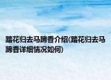 踏花歸去馬蹄香介紹(踏花歸去馬蹄香詳細情況如何)