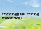23333333是什么梗（233333是什么梗簡介介紹）