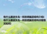 有什么跟迷失島一樣的燒腦游戲嗎介紹(有什么跟迷失島一樣的燒腦游戲嗎詳細(xì)情況如何)