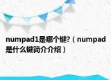 numpad1是哪個(gè)鍵?（numpad是什么鍵簡(jiǎn)介介紹）