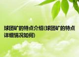 球團(tuán)礦的特點(diǎn)介紹(球團(tuán)礦的特點(diǎn)詳細(xì)情況如何)