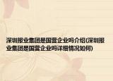 深圳報(bào)業(yè)集團(tuán)是國(guó)營(yíng)企業(yè)嗎介紹(深圳報(bào)業(yè)集團(tuán)是國(guó)營(yíng)企業(yè)嗎詳細(xì)情況如何)