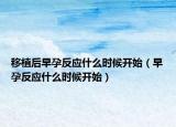 移植后早孕反應(yīng)什么時候開始（早孕反應(yīng)什么時候開始）