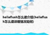 hellaflush怎么讀介紹(hellaflush怎么讀詳細情況如何)