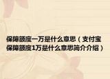 保障額度一萬是什么意思（支付寶保障額度1萬是什么意思簡介介紹）