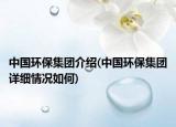 中國(guó)環(huán)保集團(tuán)介紹(中國(guó)環(huán)保集團(tuán)詳細(xì)情況如何)