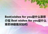 Best(wishes for you是什么意思介紹 Best wishes for you是什么意思詳細情況如何)