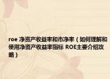 roe 凈資產(chǎn)收益率和市凈率（如何理解和使用凈資產(chǎn)收益率指標 ROE主要介紹攻略）