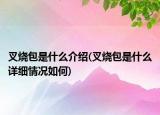 叉燒包是什么介紹(叉燒包是什么詳細情況如何)