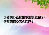 小豬關(guān)節(jié)鏈球菌感染怎么治療（鏈球菌感染怎么治療）