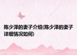 陳少澤的妻子介紹(陳少澤的妻子詳細(xì)情況如何)