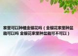 家里可以種植金銀花嗎（金銀花家里種盆栽可以嗎 金銀花家里種盆栽可不可以）
