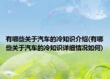有哪些關(guān)于汽車的冷知識(shí)介紹(有哪些關(guān)于汽車的冷知識(shí)詳細(xì)情況如何)