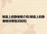 鍵盤上的靜音鍵介紹(鍵盤上的靜音鍵詳細情況如何)