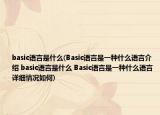 basic語言是什么(Basic語言是一種什么語言介紹 basic語言是什么 Basic語言是一種什么語言詳細情況如何)
