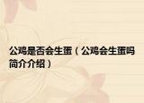 公雞是否會(huì)生蛋（公雞會(huì)生蛋嗎簡介介紹）