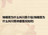特朗普為什么叫川普介紹(特朗普為什么叫川普詳細情況如何)