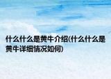 什么什么是黃牛介紹(什么什么是黃牛詳細(xì)情況如何)