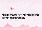 我的世界如何飛行介紹(我的世界如何飛行詳細(xì)情況如何)