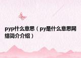 pyp什么意思（py是什么意思網(wǎng)絡(luò)簡介介紹）