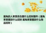 屬兔的人家里適合擺什么招財擺件（屬兔家里擺放什么招財 屬兔家里擺放什么物品招財）