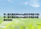 尋一部大概名叫honey的日本電影介紹(尋一部大概名叫honey的日本電影詳細(xì)情況如何)