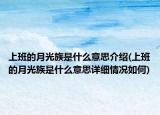 上班的月光族是什么意思介紹(上班的月光族是什么意思詳細情況如何)