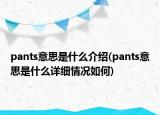 pants意思是什么介紹(pants意思是什么詳細情況如何)