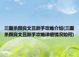 三國(guó)殺顏良文丑新手攻略介紹(三國(guó)殺顏良文丑新手攻略詳細(xì)情況如何)