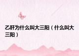 乙肝為什么叫大三陽（什么叫大三陽）