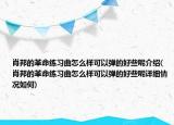 肖邦的革命練習(xí)曲怎么樣可以彈的好些呢介紹(肖邦的革命練習(xí)曲怎么樣可以彈的好些呢詳細(xì)情況如何)