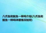 八爪魚和魷魚一樣嗎介紹(八爪魚和魷魚一樣嗎詳細(xì)情況如何)