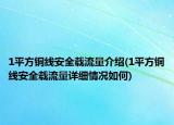1平方銅線安全載流量介紹(1平方銅線安全載流量詳細(xì)情況如何)