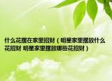 什么花擺在家里招財（明星家里擺放什么花招財 明星家里擺放哪些花招財）
