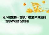 豬八戒里的一首歌介紹(豬八戒里的一首歌詳細(xì)情況如何)