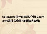 username是什么意思?介紹(username是什么意思?詳細(xì)情況如何)