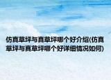 仿真草坪與真草坪哪個(gè)好介紹(仿真草坪與真草坪哪個(gè)好詳細(xì)情況如何)
