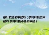 茶葉枝能去甲醛嗎（茶葉桿能去甲醛嗎 茶葉桿能不能去甲醛）