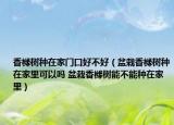 香櫞樹(shù)種在家門(mén)口好不好（盆栽香櫞樹(shù)種在家里可以嗎 盆栽香櫞樹(shù)能不能種在家里）