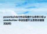 powerbuilder(中這段是什么意思介紹 powerbuilder 中這段是什么意思詳細(xì)情況如何)