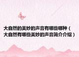 大自然的美妙的聲音有哪些哪種（大自然有哪些美妙的聲音簡介介紹）