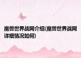 魔獸世界戰(zhàn)網(wǎng)介紹(魔獸世界戰(zhàn)網(wǎng)詳細(xì)情況如何)