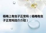 楊梅上有蟲子正常嗎（楊梅有蟲子正常嗎簡(jiǎn)介介紹）