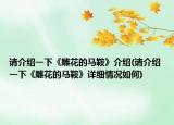請(qǐng)介紹一下《雕花的馬鞍》介紹(請(qǐng)介紹一下《雕花的馬鞍》詳細(xì)情況如何)
